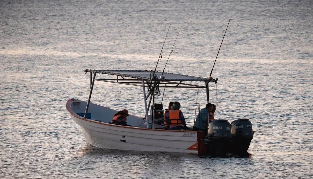 Loreto Sport Fishing Charter: 5-8 Hour Trips | Aventuras