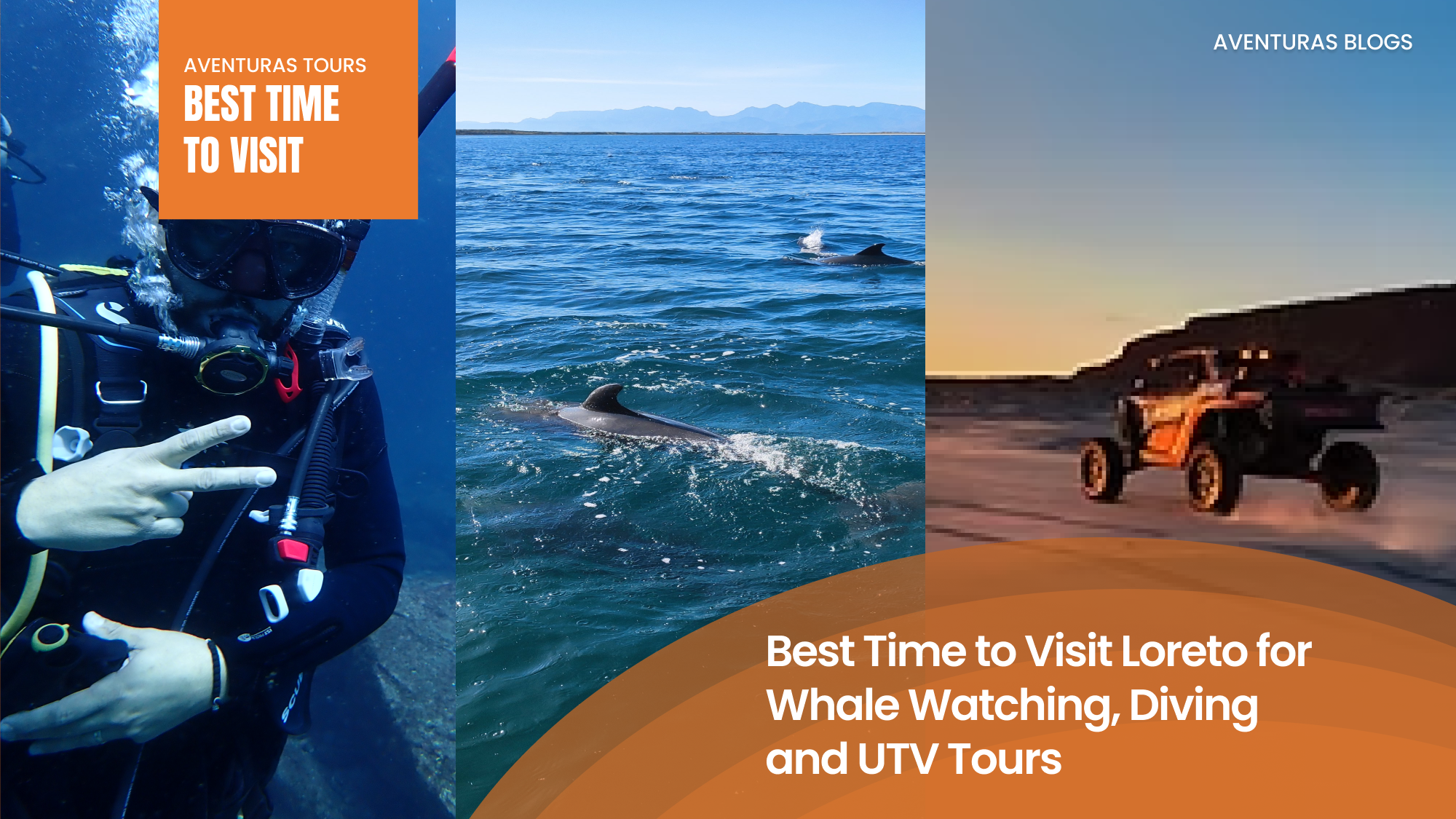 Best Time to Visit Loreto for Whale Watching, Diving and UTV Tours