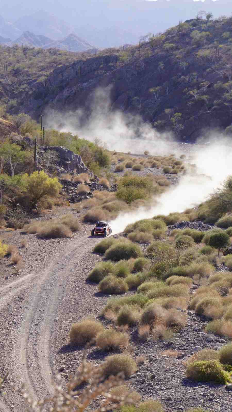 A UTV throwing up a long dust trail on a desert track winding between cactus-covered hills