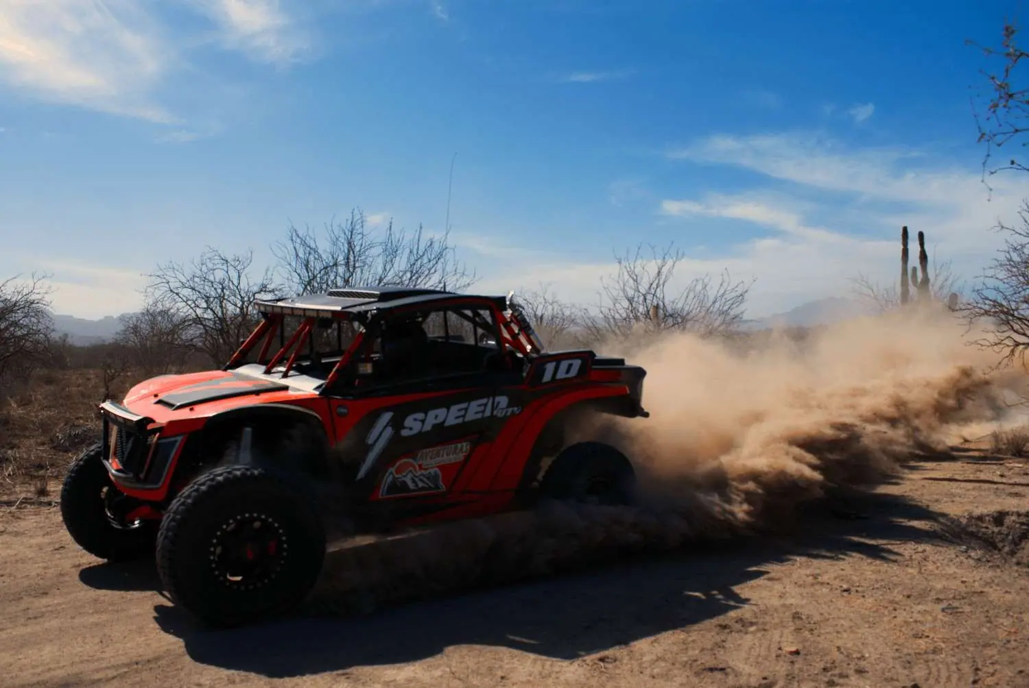 2-Day UTV + Grey Whale