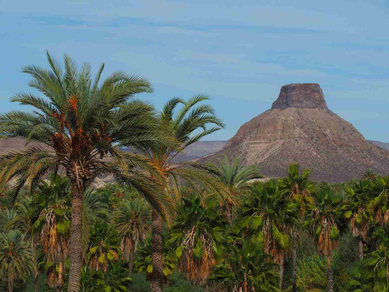 Lush green vegetation and palm trees with a distinctive rocky mountain beneath a clear blue sky.