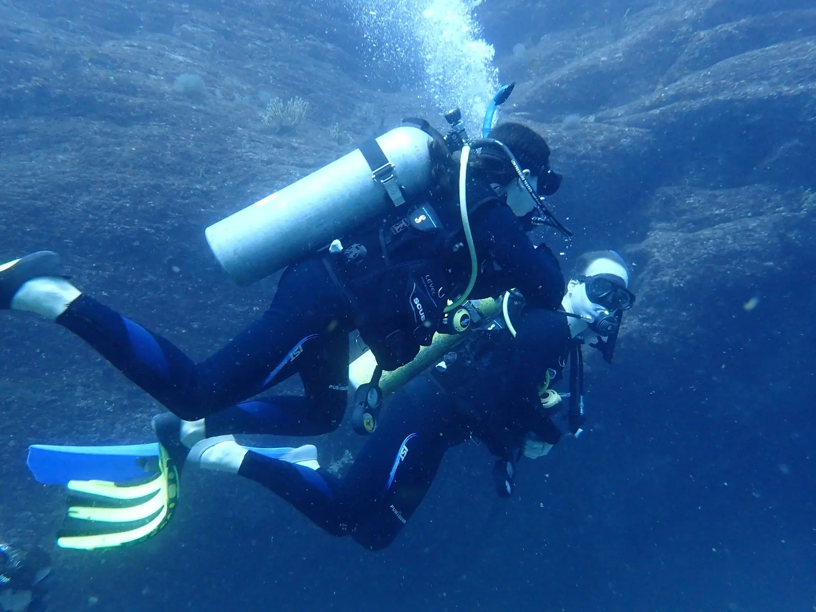 Advanced Diver Course in Loreto | Aventuras Tours