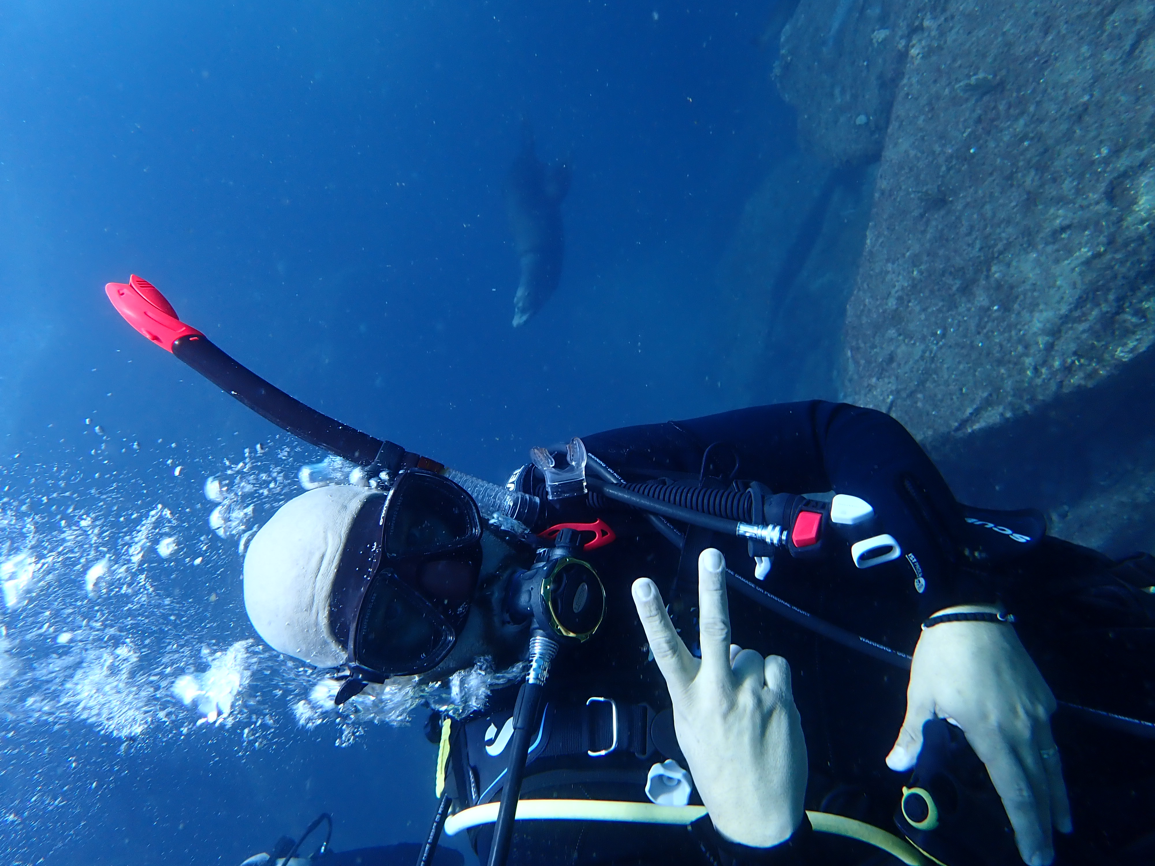 Open Water Diving Course