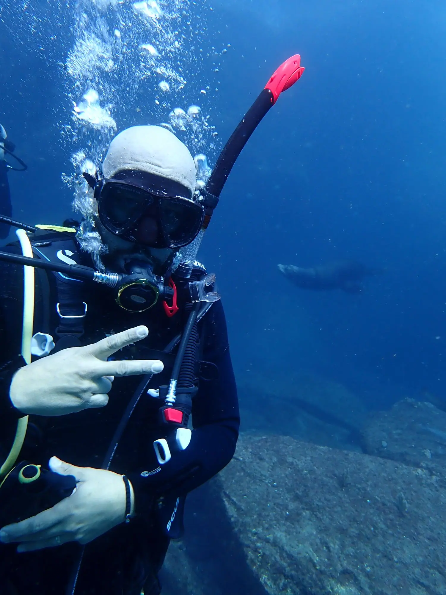 Open Water Diver Course in Loreto (3 Days) | Aventuras