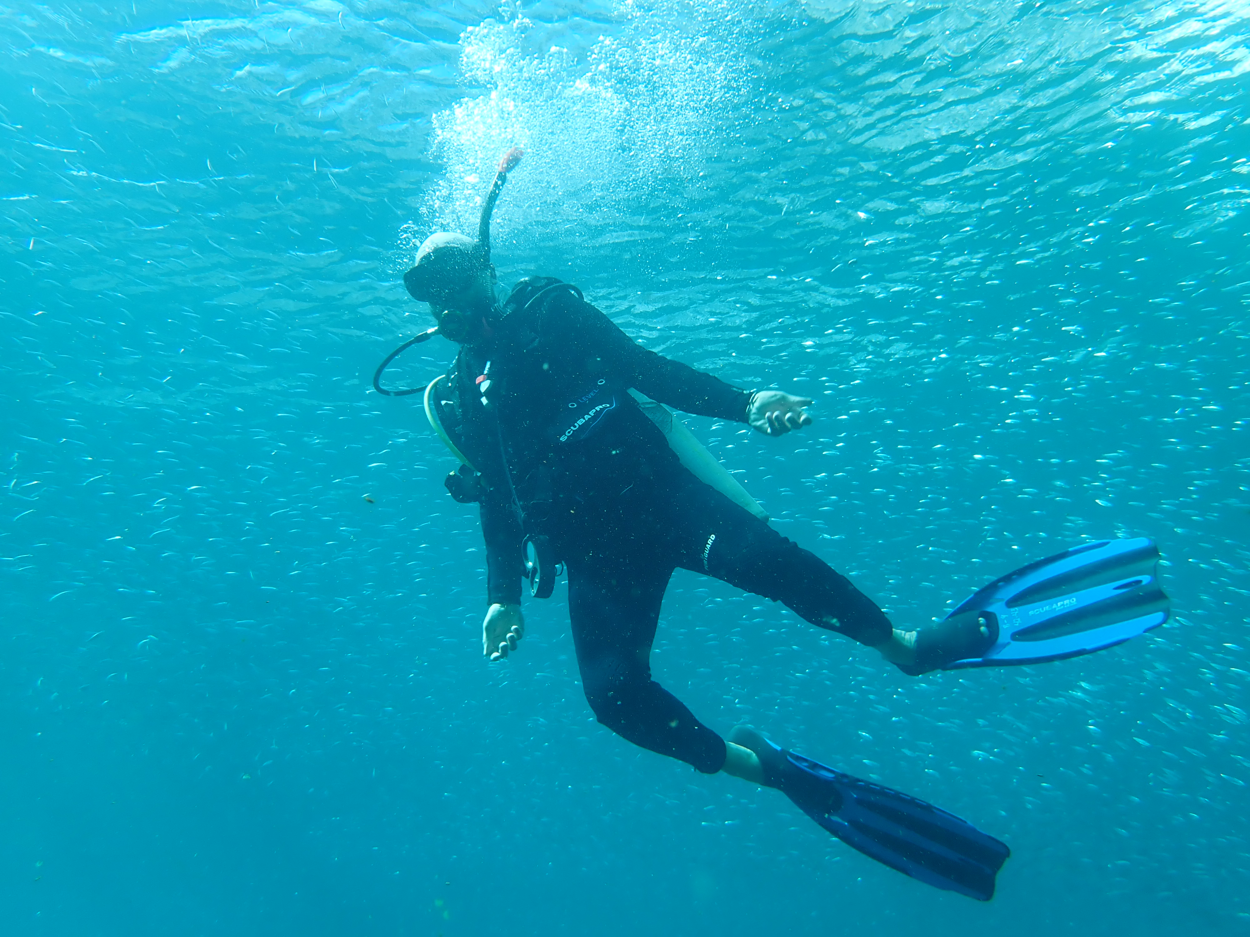 Scuba Diving Tour